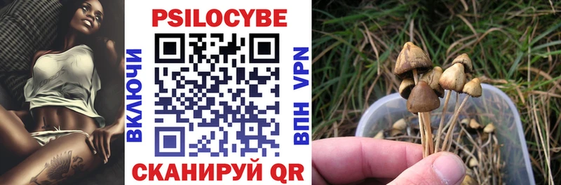 Галлюциногенные грибы Psilocybe  Купить где  Касли 
